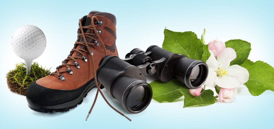 Image collage on light blue background: golf ball on a tee, brown hiking boot, black binoculars, white flower with pink tulips and big green leaves